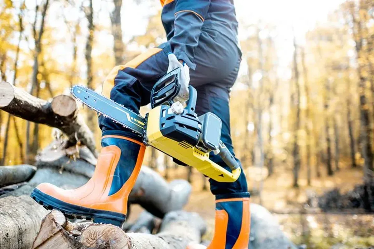 Chainsaw trousers brand comparison